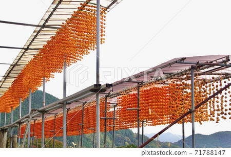 Kushikaki no Sato, Katsuragi Town, Ito District, Wakayama Prefecture 71788147