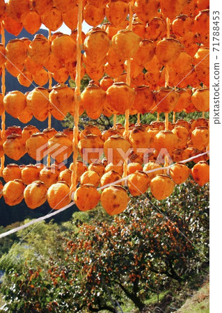 和歌山縣伊東縣桂木市志吾市的串燒之裡 71788453