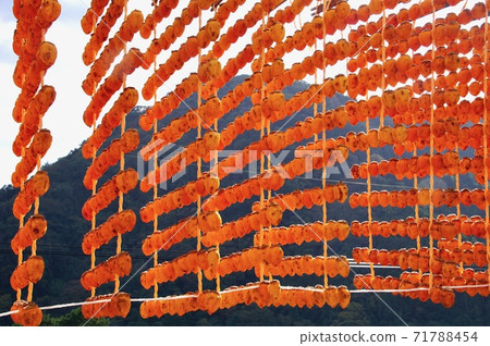 Kushikaki no Sato, Katsuragi Town, Ito District, Wakayama Prefecture 71788454