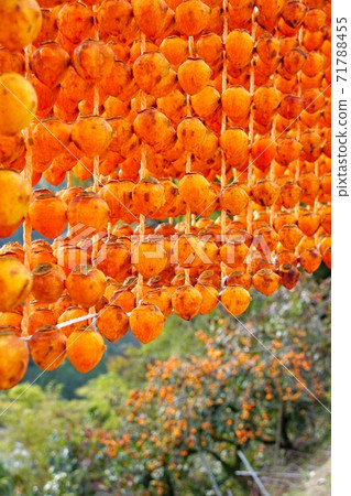 和歌山縣伊東縣桂木市志吾市的串燒之裡 和歌山縣伊東縣桂木市志吾市的串燒之裡 71788455