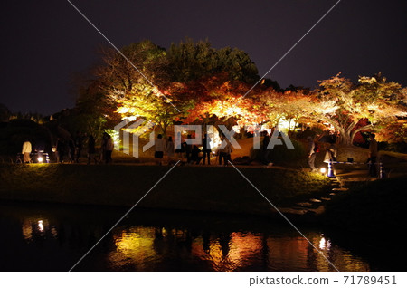 Korakuen Autumn Fantasy Garden Korakuen Autumn Fantasy Garden 71789451