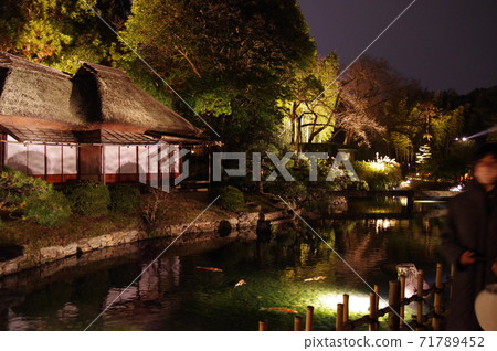 Korakuen Autumn Fantasy Garden Korakuen Autumn Fantasy Garden 71789452