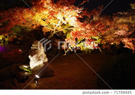 Korakuen Autumn Fantasy Garden Korakuen Autumn Fantasy Garden 71789485
