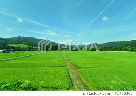 從會津川口站到會津站的忠見線列車窗口的風景 71790302