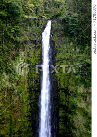Akaka · Falls 71790376