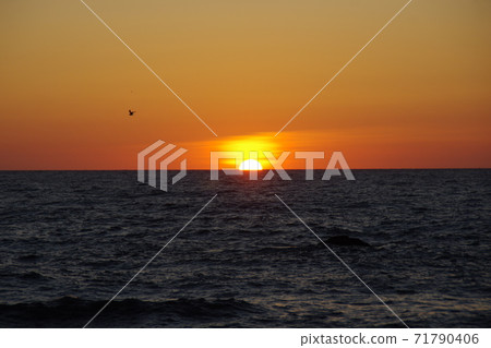 日本海中的佐佐川落日8 日本海中的佐佐川落日8 71790406