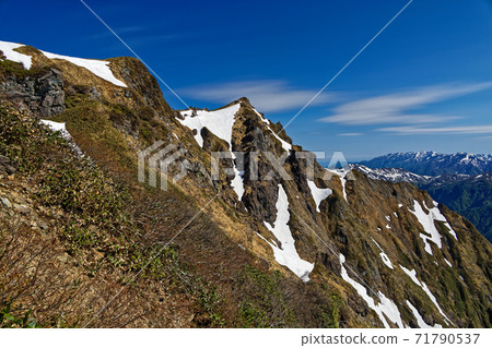 Tanigawadake ridgeline and Mt. Makihata seen from the west black ridge of the remaining snow Tanigawadake ridgeline and Mt. Makihata seen from the west black ridge of the remaining snow 71790537