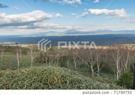 Highland Oshimizu 725 71790750