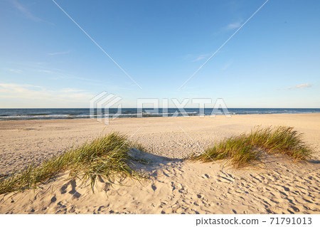 Leba Baltic sea coast 71791013