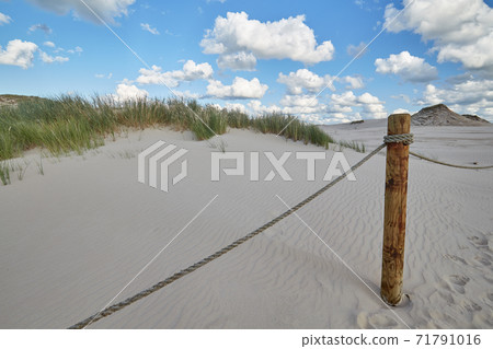 Leba sand dune 71791016