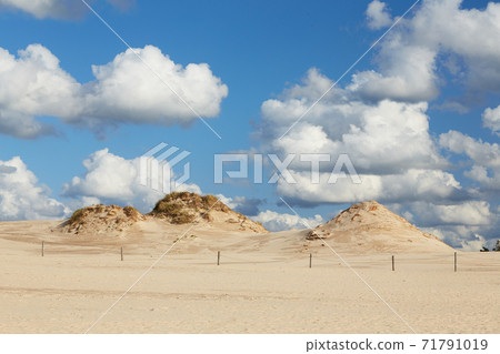 Leba sand dune 71791019