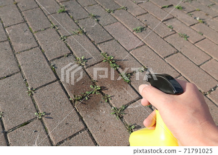 液體除草劑的應用 71791025