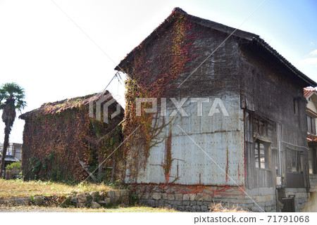 美麗的秋葉，古老的日本建築 71791068