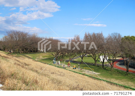 Scenery of riverbed park in early winter 71791274