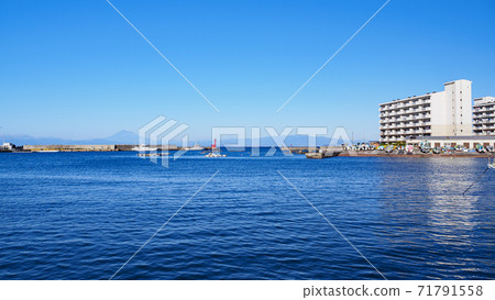 Winter in Nagai, Yokosuka City, Kanagawa Prefecture, on the Shonan Miura Peninsula Winter in Nagai, Yokosuka City, Kanagawa Prefecture, on the Shonan Miura Peninsula 71791558