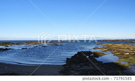 Winter in Nagai, Yokosuka City, Kanagawa Prefecture, on the Shonan Miura Peninsula 71791585