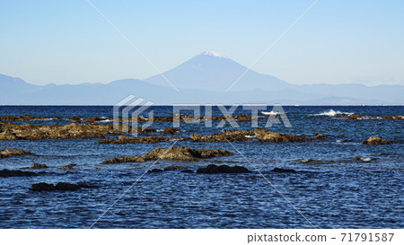 Winter in Nagai, Yokosuka City, Kanagawa Prefecture, on the Shonan Miura Peninsula 71791587