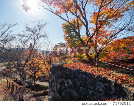 中津川市內江城蹟的秋葉 71792012