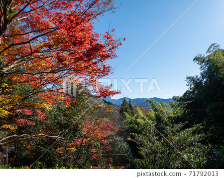 中津川市內江城蹟的秋葉 71792013