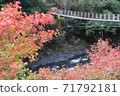 秋葉和吊橋 71792181