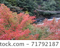 秋葉和吊橋 71792187