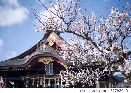 岩津天滿宮李子 71792643