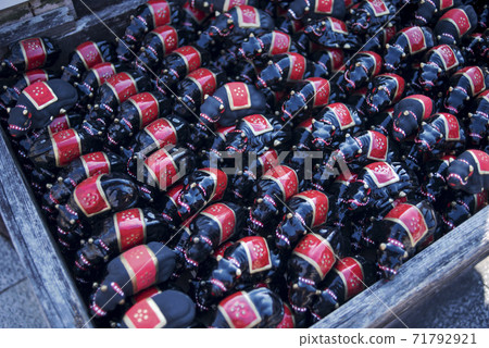 Plums of Iwatsu Tenmangu Shrine Plums of Iwatsu Tenmangu Shrine 71792921