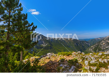 River Tara canyon - Montenegro 71793595