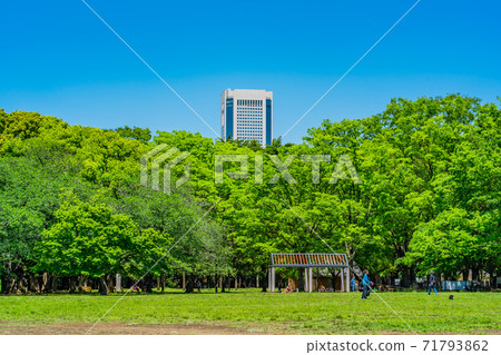 東京澀谷區代代木公園中央廣場 71793862