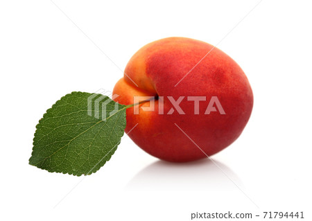 Still Life Stock Photography Still Life Stock Photography 71794441