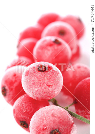 Still Life Stock Photography Still Life Stock Photography 71794442