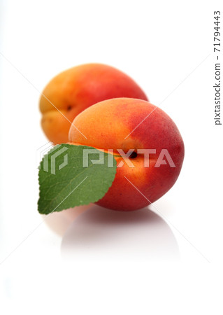 Still Life Stock Photography Still Life Stock Photography 71794443