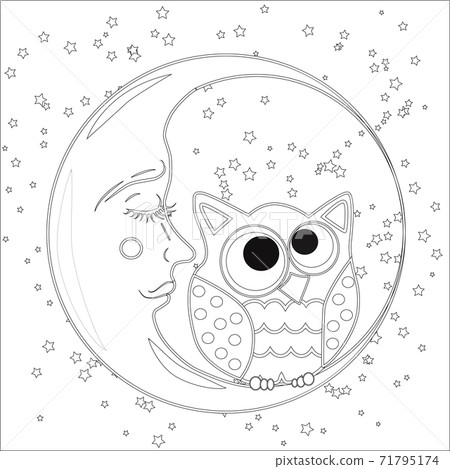 Coloring book for adult and older children. Coloring page with an owl on the moon among the stars. Coloring book for adult and older children. Coloring page with an owl on the moon among the stars. 71795174