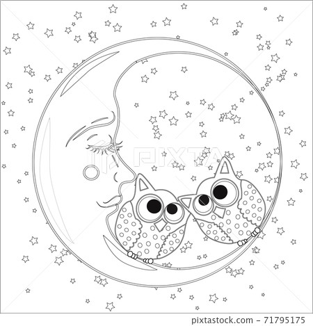 Coloring book for adult and older children. Coloring page with an owl on the moon among the stars. Coloring book for adult and older children. Coloring page with an owl on the moon among the stars. 71795175