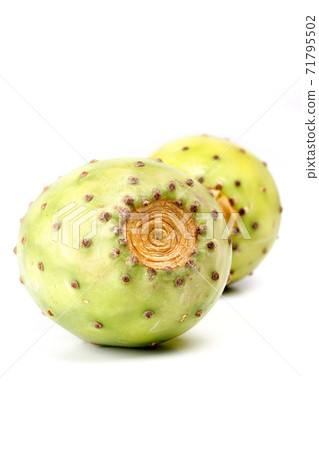 Still Life Stock Photography 71795502