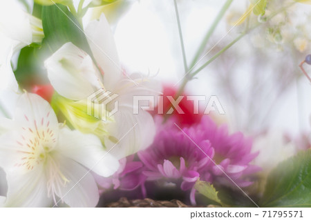 Flower arrangement_Christmas color-3 71795571