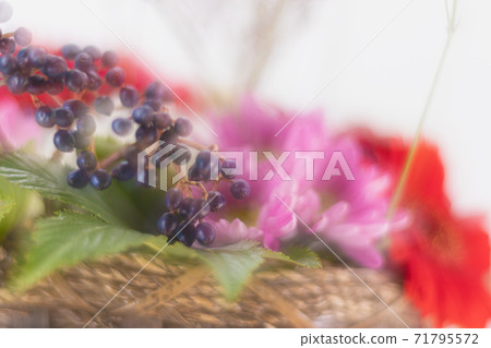 Flower arrangement_Christmas color-2 71795572