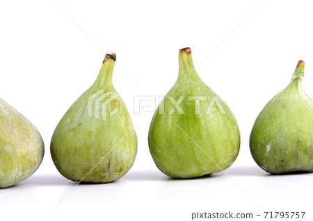 Figs 71795757