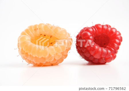 Still Life Stock Photography 71796562