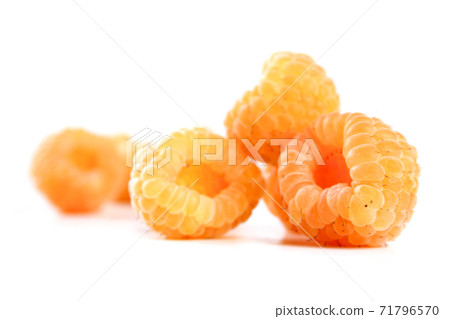 Still Life Stock Photography Still Life Stock Photography 71796570