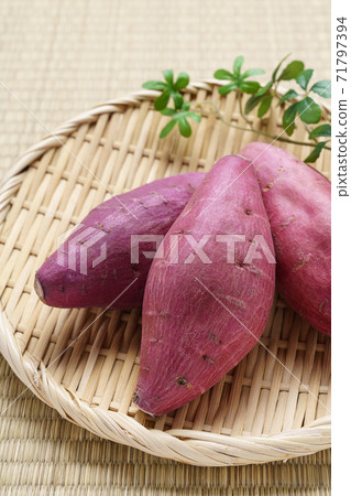 sweet potato sweet potato 71797394