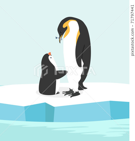 penguin feeding her baby in North pole Arctic 71797441