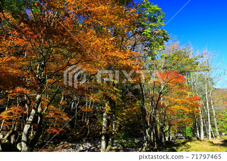 World heritage site of Hashino blast furnace in autumn World heritage site of Hashino blast furnace in autumn 71797465