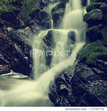 Nature - beautiful small waterfall on the creek. Natural colorful background with running water over stones in the forest. 71797731