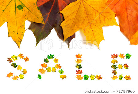 Autumn maple-leafs background and word SALE Autumn maple-leafs background and word SALE 71797960