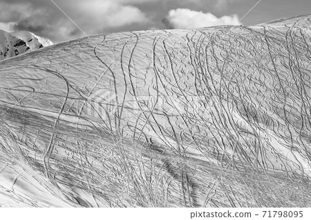 Snowy off-piste slope for freeriding 71798095
