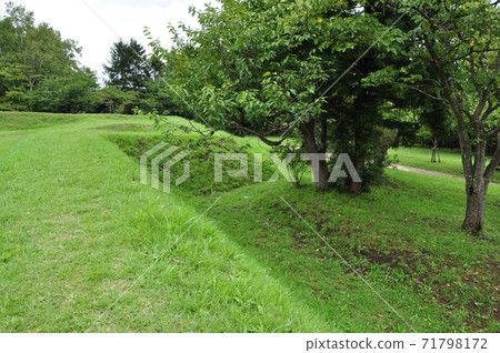 Bastion fort of historic site Shiryokaku: Hakodate, Hokkaido 71798172
