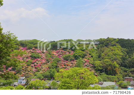 Yutoku Inari Shrine Higashiyama Park 71798426