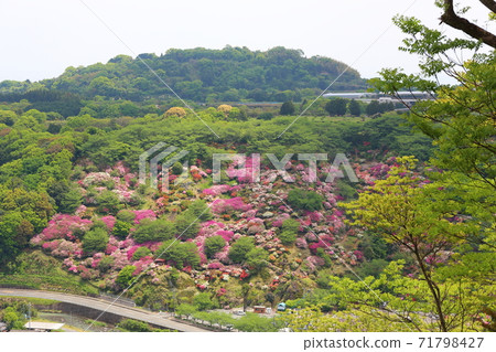 從湯德稻荷神社俯瞰東山公園 71798427