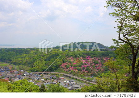 View from Yutoku Inari Shrine 71798428